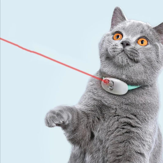 Felineau Collier Laser Interactif pour Chat — Rechargeable USB
