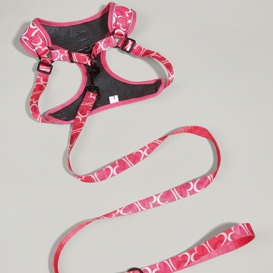 Ensemble Harnais et Laisse pour Chien 3 Pièces – Kit de Promenade Réglable et Confortable