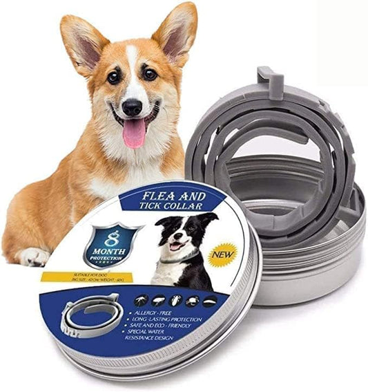 Felineau Collier Antiparasitaire Tiques et Puces | 8 Mois de Protection pour Chien et Chat