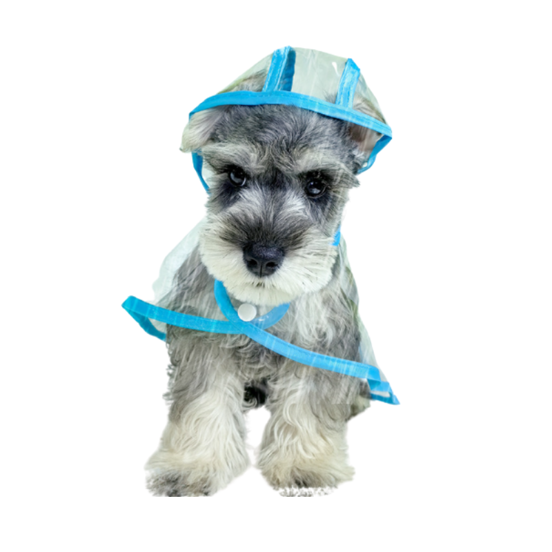 Felineau Imperméable Transparent Doux pour Petit Chien - Rose ou Bleu