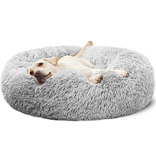 Panier rond à bords relevés pour chien