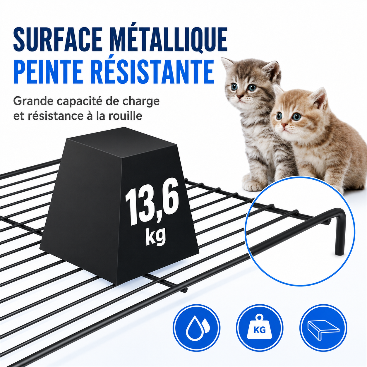 Felineau Cage Intérieure pour Chat — Volière 4 Niveaux avec Accessoires