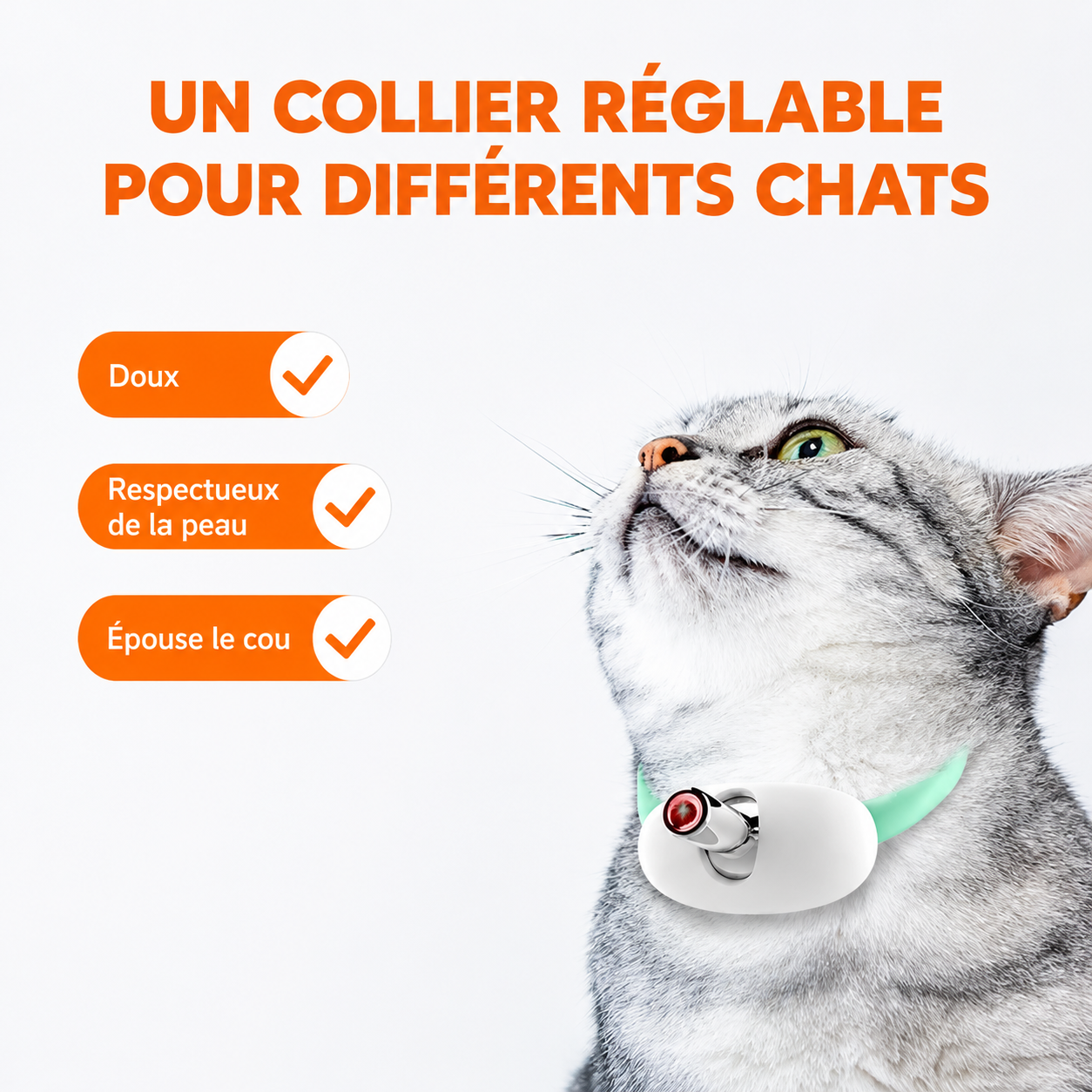 Felineau Collier Laser Interactif pour Chat — Rechargeable USB
