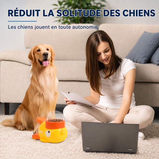 Gamelle Anti-Glouton en Forme de Canard pour Chien – Distributeur Ludique Slow Feeder Anti-Ingestion Rapide
