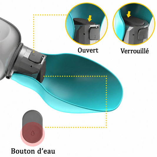 Felineau Gourde Portable pour Chien | Bouteille 2 en 1 avec Gamelle Intégrée