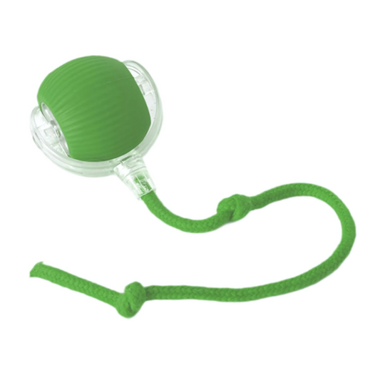 Jouet Interactif Automatique pour Chats et Chiens