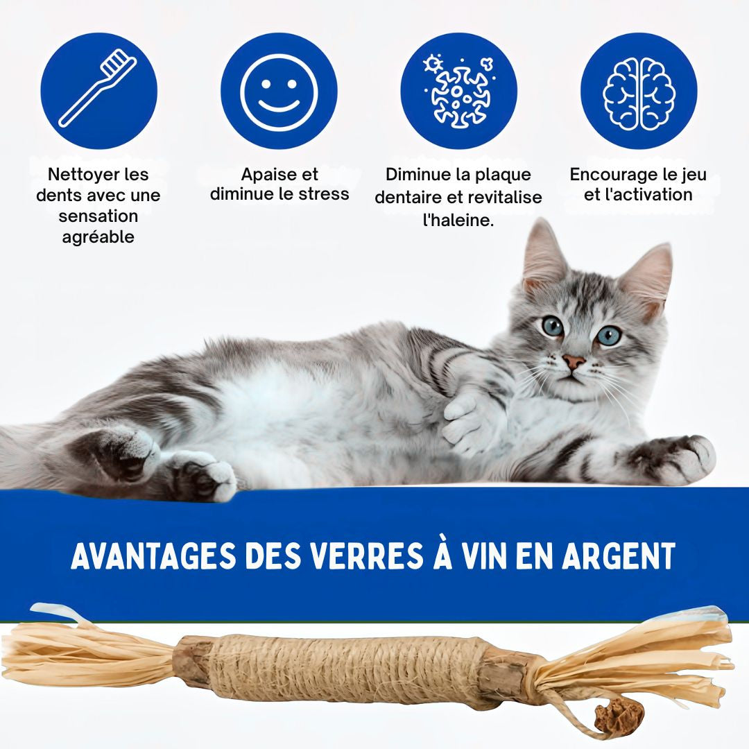 Felineau Bâtonnets à Mâcher en Silvervine pour Chat