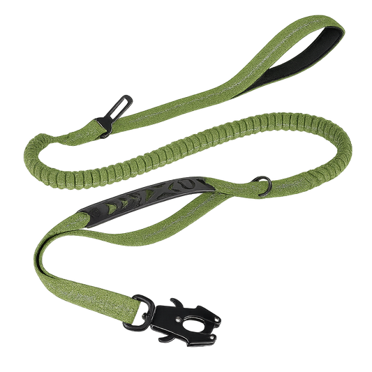 Laisse Bungee Chien - Ceinture Auto Integree - image 2