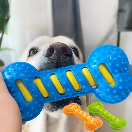 Felineau Jouet à Mâcher Anti-Ennui pour Chien - 3 Couleurs