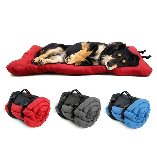 Felineau Tente Lit Voyage Pliable Imperméable - Lit Extérieur Nomade