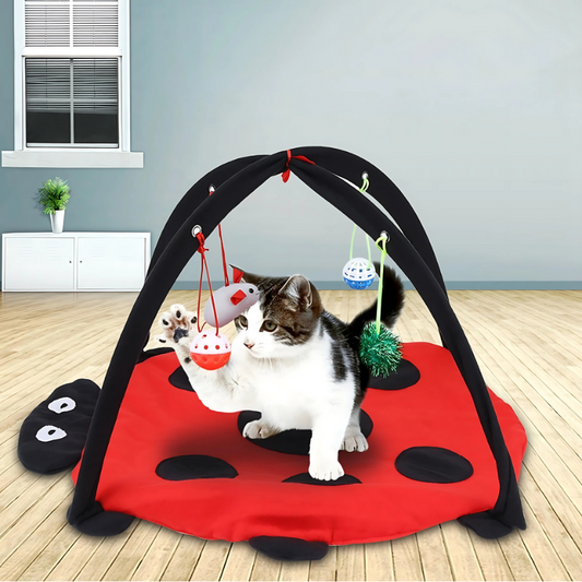 Felineau Lit d'Activité Pliable avec 4 Jouets Suspendus pour Chat