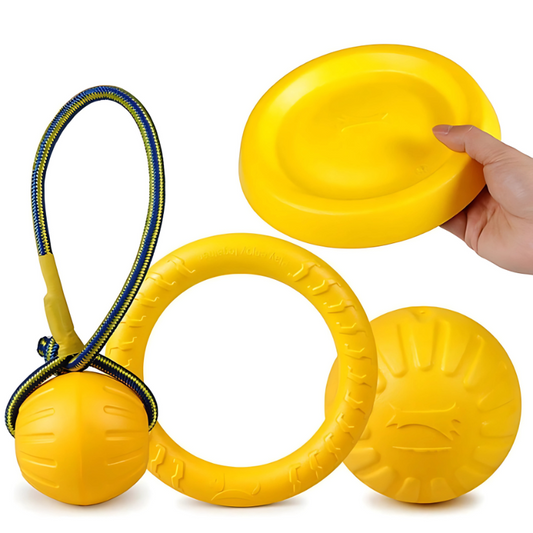 Felineau Anneau Frisbee Lancer Caoutchouc - Rapport Dynamique Extérieur