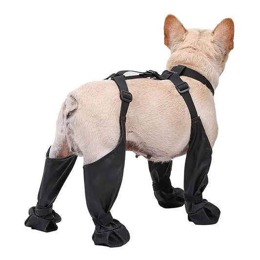 Chaussures pour chien reliées par sangles