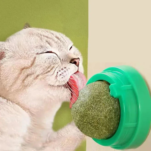 Felineau Balles d'Herbe à Chat Premium — Lot de 4 Adhésives Rotatives