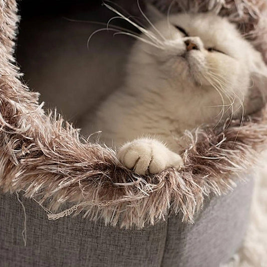 Felineau Lit d'Hiver Moelleux pour Chat | Coussin Chaud et Douillet M et L