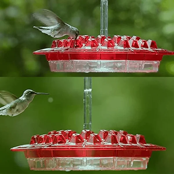 Mangeoire suspendue à nectar avec réservoir transparent