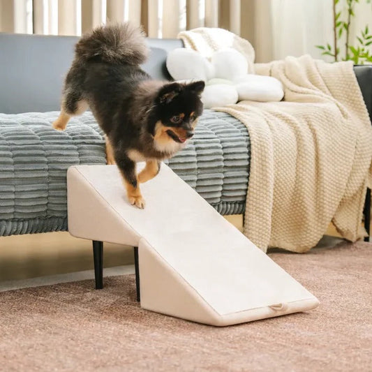 Felineau Rampe Escalier 2 en 1 pour Chien | Accès Sécurisé Canapé Lit et Voiture