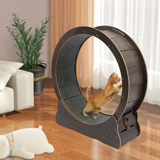 Roue d'Exercice Intérieure pour Chat – Piste Rembourrée Silencieuse 81 cm Finition Bois