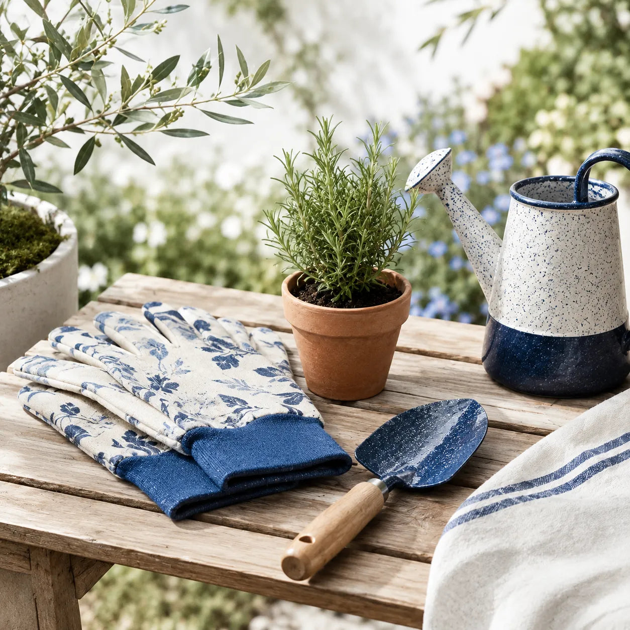 Jardin & Extérieur