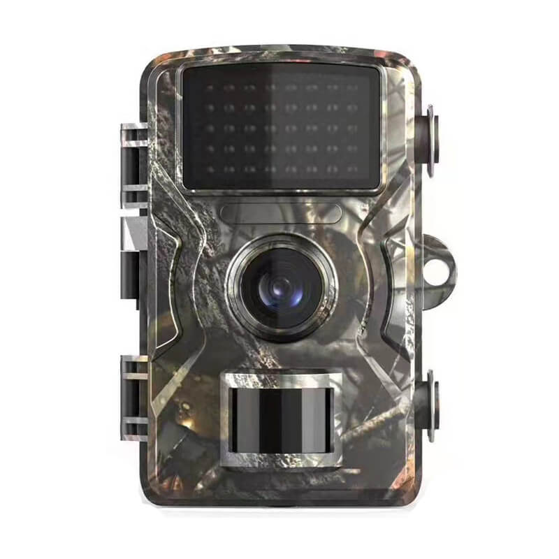 Caméra d'observation extérieure avec vision nocturne et écran