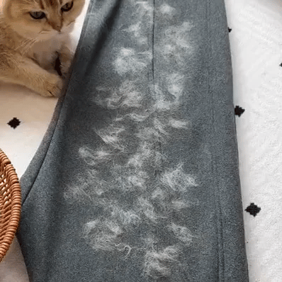 Felineau Gant Réutilisable Anti-Poils pour Animaux