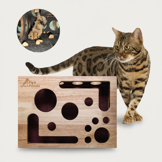 Boîte de Jeu avec Lime à Griffes pour Chat – Jouet d’Enrichissement et Entretien des Griffes