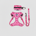 Ensemble Harnais et Laisse pour Chien 3 Pièces – Kit de Promenade Réglable et Confortable