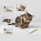 Jouet Bâton à Mâcher pour Chat – Jouet Interactif pour Mastication et Divertissement Félin