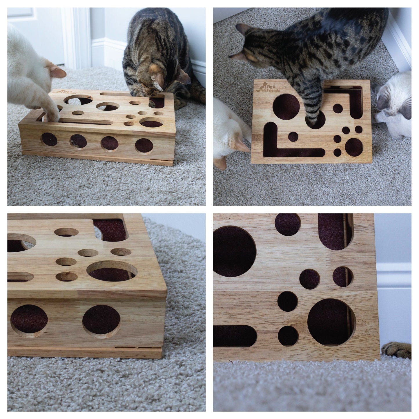 Boîte de Jeu avec Lime à Griffes pour Chat – Jouet d’Enrichissement et Entretien des Griffes
