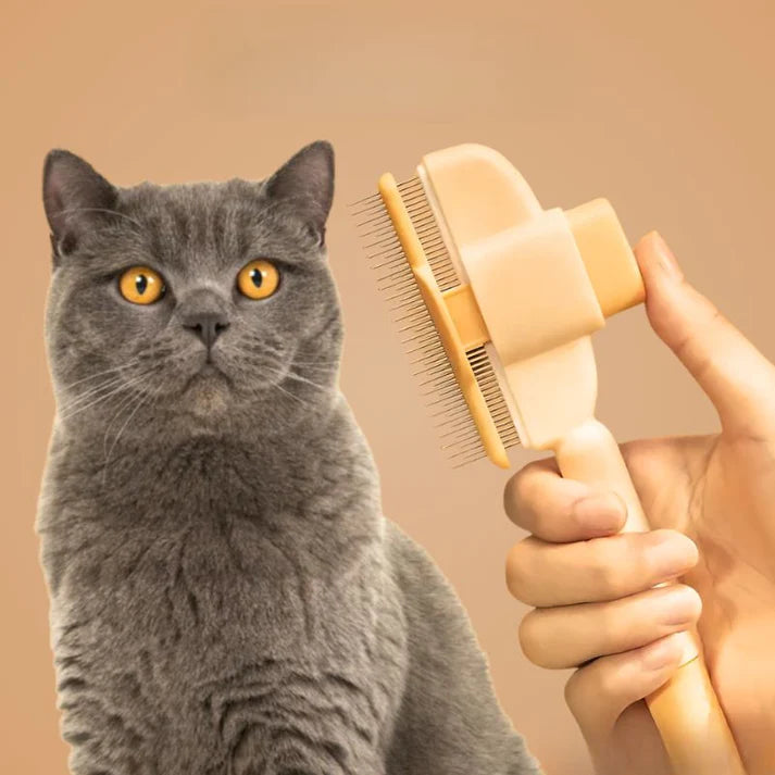 Peigne pour chat anti-chute de poils et massage