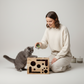 Boîte de Jeu avec Lime à Griffes pour Chat – Jouet d’Enrichissement et Entretien des Griffes