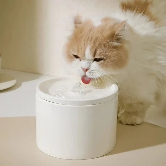 Fontaine à Eau en Céramique pour Chat – Distributeur d’Eau Automatique pour Chats et Petits Animaux