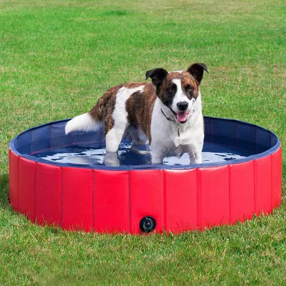 Felineau Piscine Pliable pour Chien — Montage Rapide Sans Outil