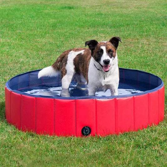Felineau Piscine Pliable pour Chien — Montage Rapide Sans Outil