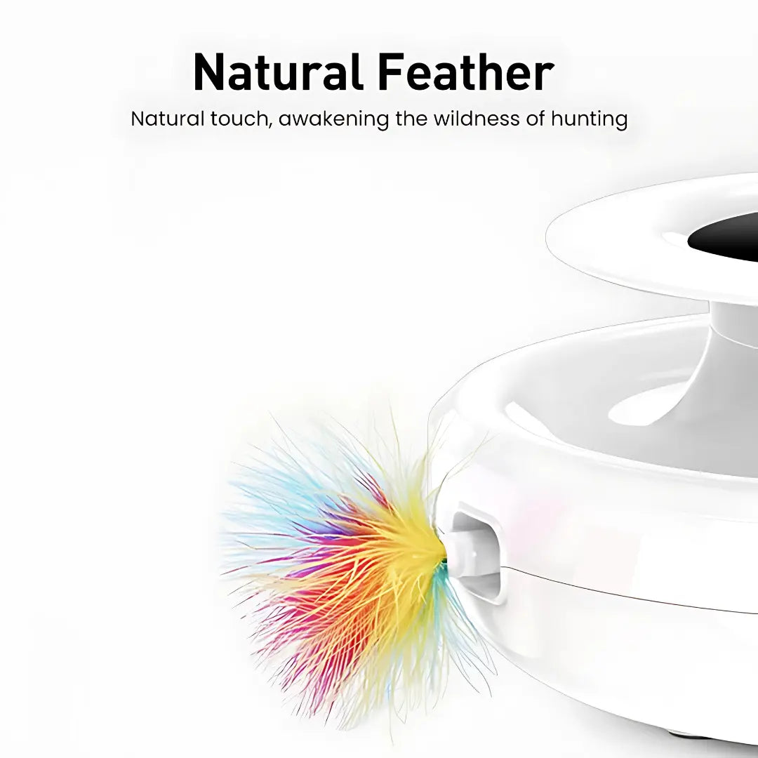 Jouet électronique pour chat avec plume, balle et LED