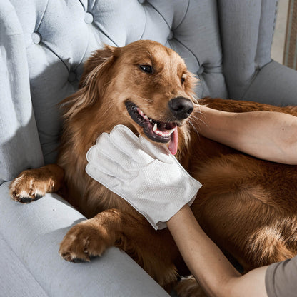Lot de vingt gants nettoyants pour animaux, 25 × 15 cm