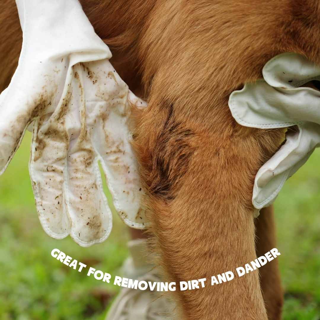 Lot de vingt gants nettoyants pour animaux, 25 × 15 cm