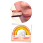Rasoir électrique compact pour retouches visage et corps