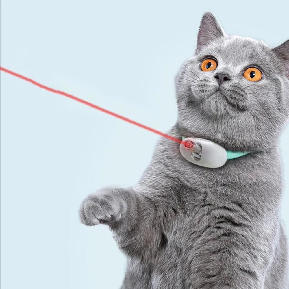 Felineau Collier Laser Interactif pour Chat — Rechargeable USB