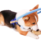 Harnais avec arceau de guidage pour chien malvoyant