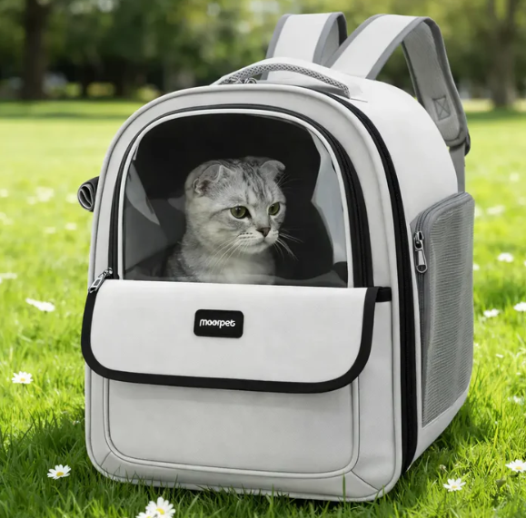 Sac de transport pour chat respirant en forme de capsule transparente