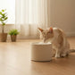 Fontaine à Eau en Céramique pour Chat – Distributeur d’Eau Automatique pour Chats et Petits Animaux