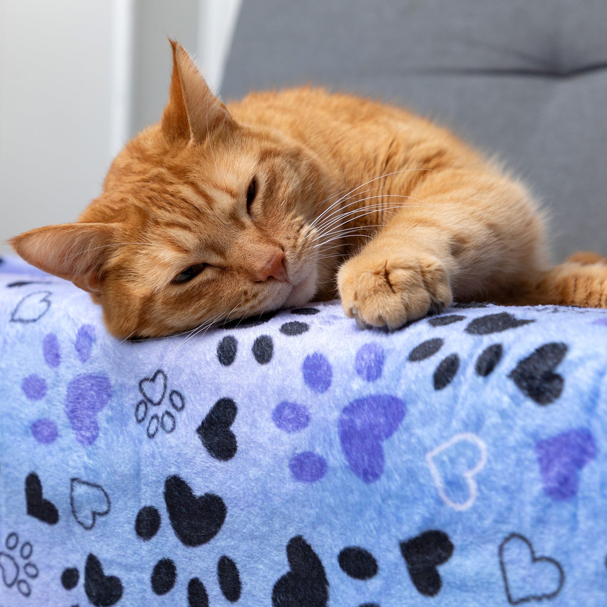 Plaid doux et douillet « Compagnons à fourrure » pour animaux – image 9