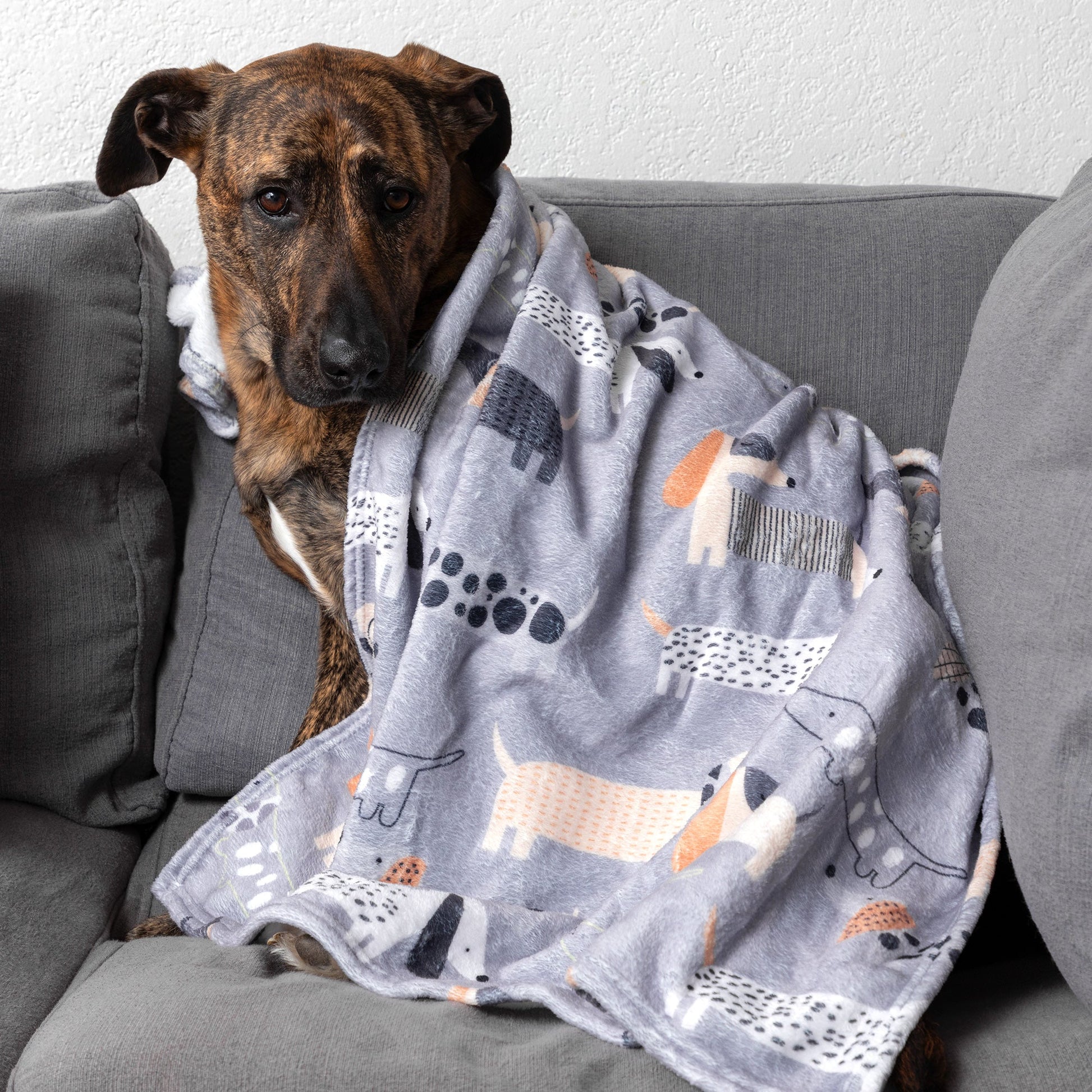 Plaid doux et douillet « Compagnons à fourrure » pour animaux – image 2