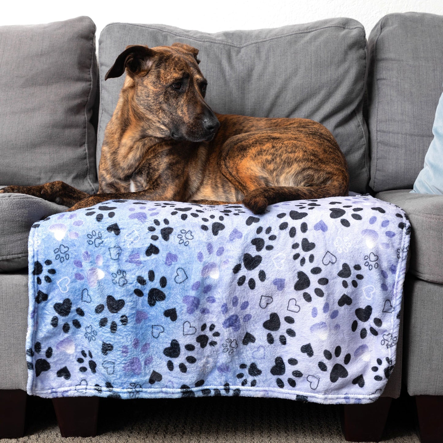 Plaid doux et douillet « Compagnons à fourrure » pour animaux – image 10