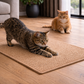 Tapis Griffoir en Sisal pour Chat