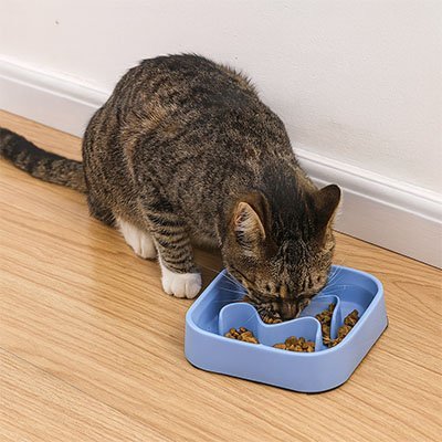 Gamelle Anti-Glouton pour Chat – Bol à Alimentation Lente Favorisant une Digestion Saine