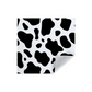 Felineau Combinaison de Toilettage pour Chat - Protection Anti-Griffures
