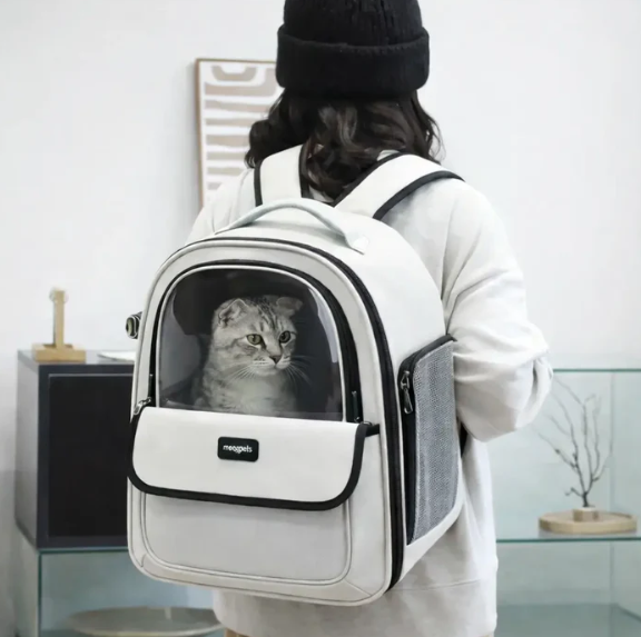 Sac de transport pour chat respirant en forme de capsule transparente