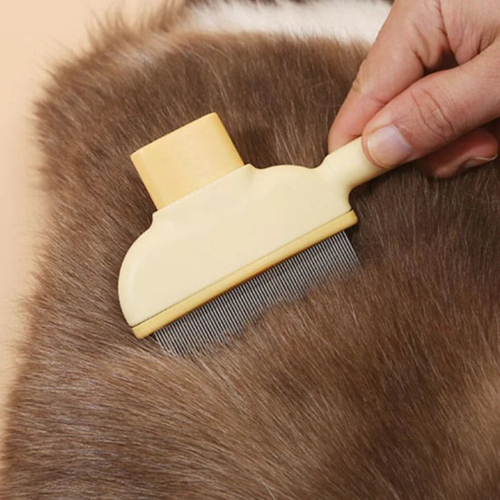 Peigne pour chat anti-chute de poils et massage